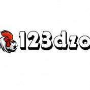nc123dzobest profile image