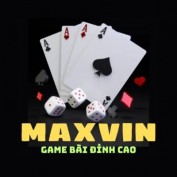 maxvinorg profile image