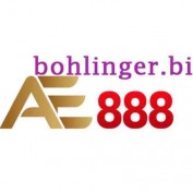 bohlingerbiz profile image