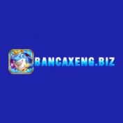 bancaxengbiz profile image