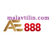 malavtilincom profile image