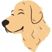 foodforgolden profile image foodforgolden profile image