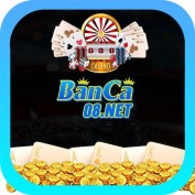 banca08net profile image