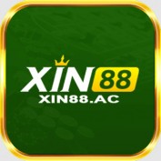 xin88id profile image