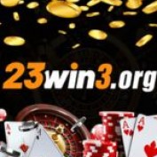 org23win3 profile image