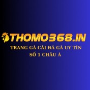 thomo368in profile image