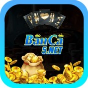 banca5net profile image