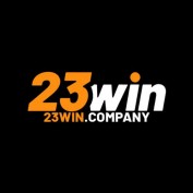 wincompany23 profile image