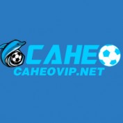 caheovipnet profile image