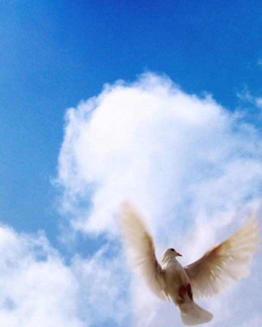 The dove is a symbol of the peace and solace found in Jesus Christ.