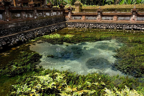 The source of the spring water at Tirta Empul.        http://www.flickr.com/photos/calios/1310993517/        