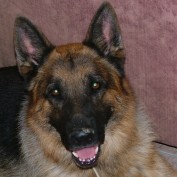 attilasimba profile image
