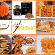 guiyensaodimy profile image