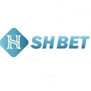 shbetorg1 profile image