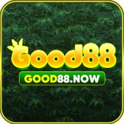 good88now profile image