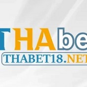 THABET18 net profile image