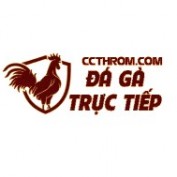 ccthromcom profile image