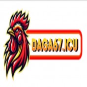 daga67icu profile image
