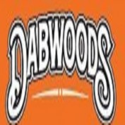 dabwoodsdisposable profile image
