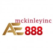 ae888mckinleyinc profile image
