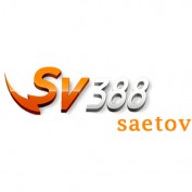sv388saetov profile image