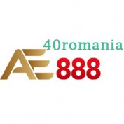 ae88840romania profile image