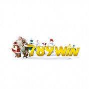 S789winv2com profile image