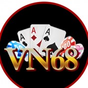 VN68 profile image