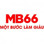 mb66vncc profile image