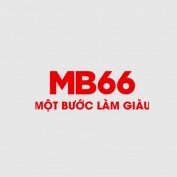 mb66mcm profile image