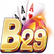 b29spro profile image