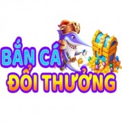 bancadoithuongdiy profile image