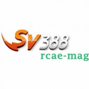 sv388rcaemag profile image