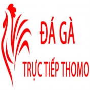dagakewpie profile image