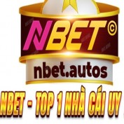 nbetguru profile image