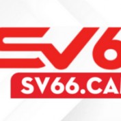 sv66cam profile image