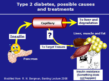 Diabetes fat metabolism instruction sheet