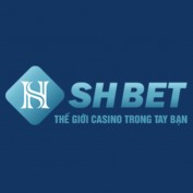 shbetshoes profile image