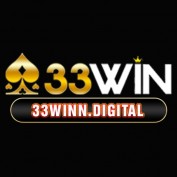 n33winndigital profile image