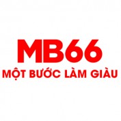 mb66observer profile image