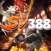 sv388fyi profile image