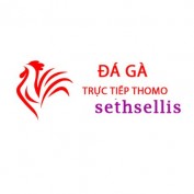 dagasethsellis profile image