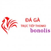 dagabonolis profile image