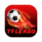 tylekeoinnet profile image