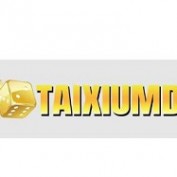 taixiumd5im2025 profile image