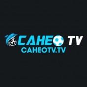 caheotvtv profile image