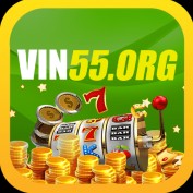 vin55org profile image