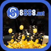 net8ss8 profile image