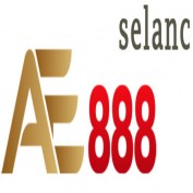 selancorg profile image