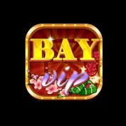 bayvipcam profile image